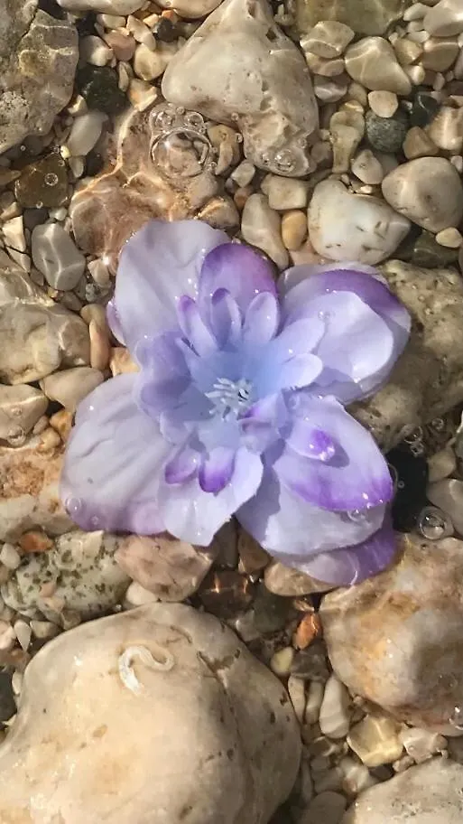 Gente Di Mare Lejlighed Novi Vinodolski